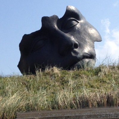 pomo09318810's profile picture. 