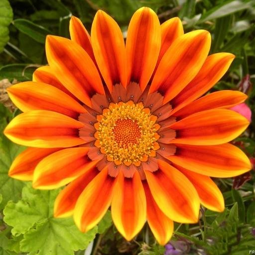 artyrafande's profile picture. 
