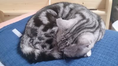 ゆっくり生きよう。