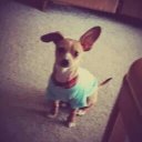 Shirley Benoit - @benoit22645 - Twitter