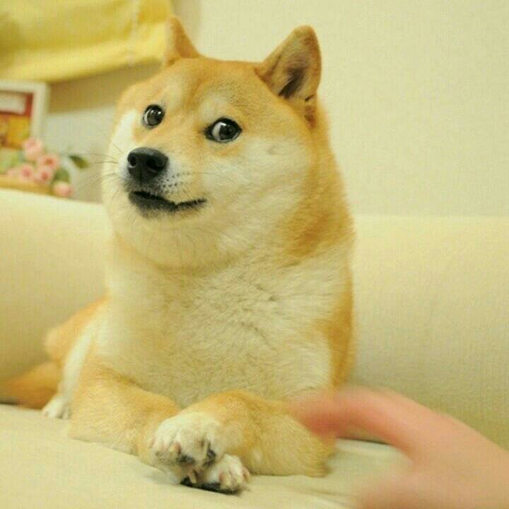 luicalibre81's profile picture. 