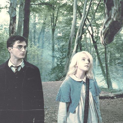 I suspect Nargles are behind it.