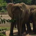 Sara Carr - @Isa4031Eagle - Twitter