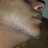 ariete_74's profile image