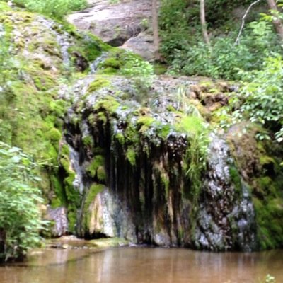 miam_c's profile picture. 