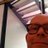 aaristroelsen's profile image