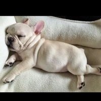 양갱 (@jeyj2y) 's Twitter Profile