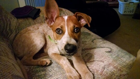 izzy5012's profile picture. 