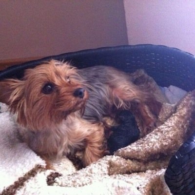 feo1428's profile picture. 