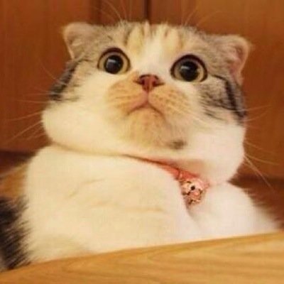 MsDollyLlama's profile picture. Daynuh. Sniper❤️ ~. 19, Swedish/ Azn. In le Stockholm. Music makes me, who I am. . Suck my fuck ;*. ☺️