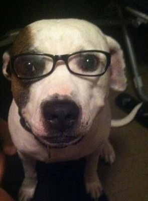 chatogiles's profile picture. 