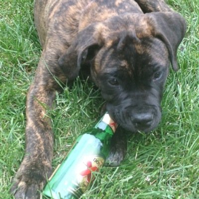 bieging9's profile picture. 