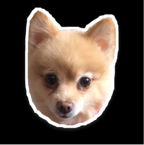 Jason_Diaz's profile picture. Insight, hindsight and foresight, this is I.