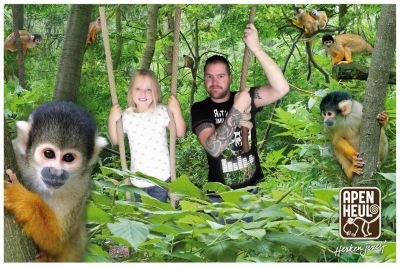 vmflaman's profile picture. 