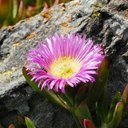 Paula Egan-Hardt - @EganPr - Twitter