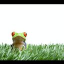 Julia Ramirez - @july_obregon - Twitter