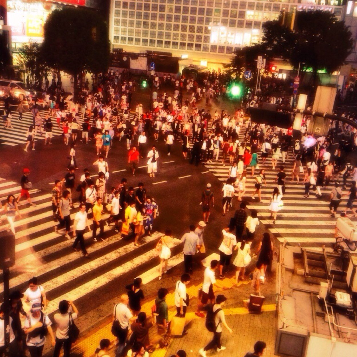 3256477's profile picture. けんちゃん応援垢