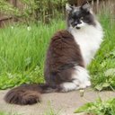 Brian Sinclair - @Bribo666 - Twitter