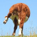 Jocelyn Larson - @Kamatmw - Twitter