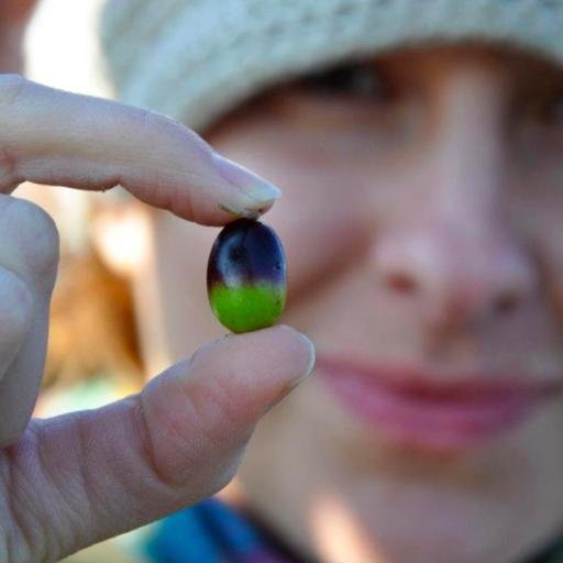 Olive oil miller, educator & taster. Founder & director of @eatretreat.
Graduate of @UNISG.