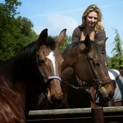 IngridToet's profile picture. ScanCaoch, Leiderschap, Netwerk voor Zingeving & Inspiratie, Consultant, Interimleider, Coaching, Creatie, Verbinden, Paarden, Dieren, Buitenleven, Dansen