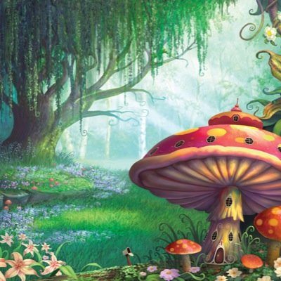 The New Enchanted Forest is Ponteland's very own childrens activity and softplay centre, with a fully stocked cafe and party facilities.