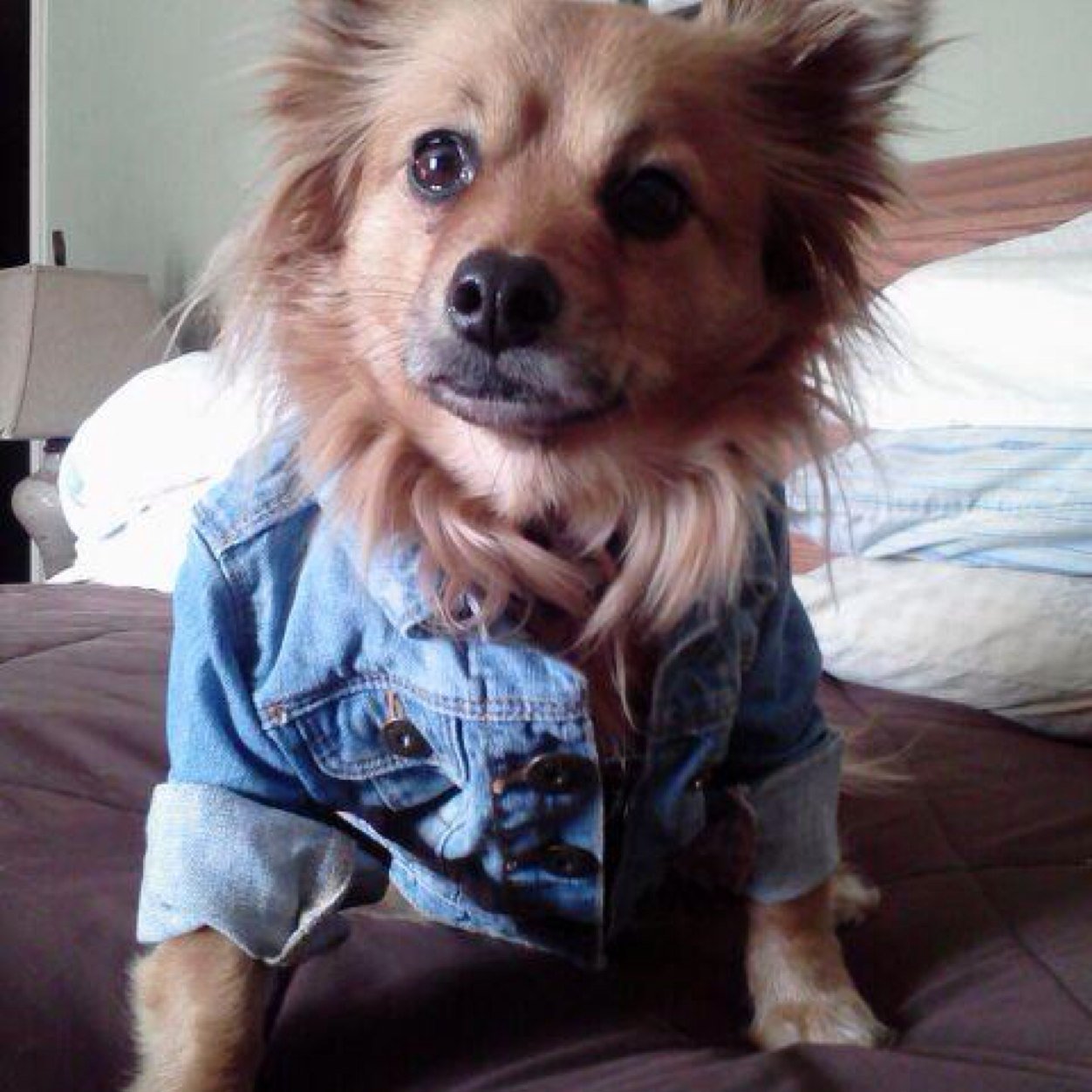 RuffDixiec2314's profile picture. Love god, family, everything clemson, country back roads, the woods, reading and candles.