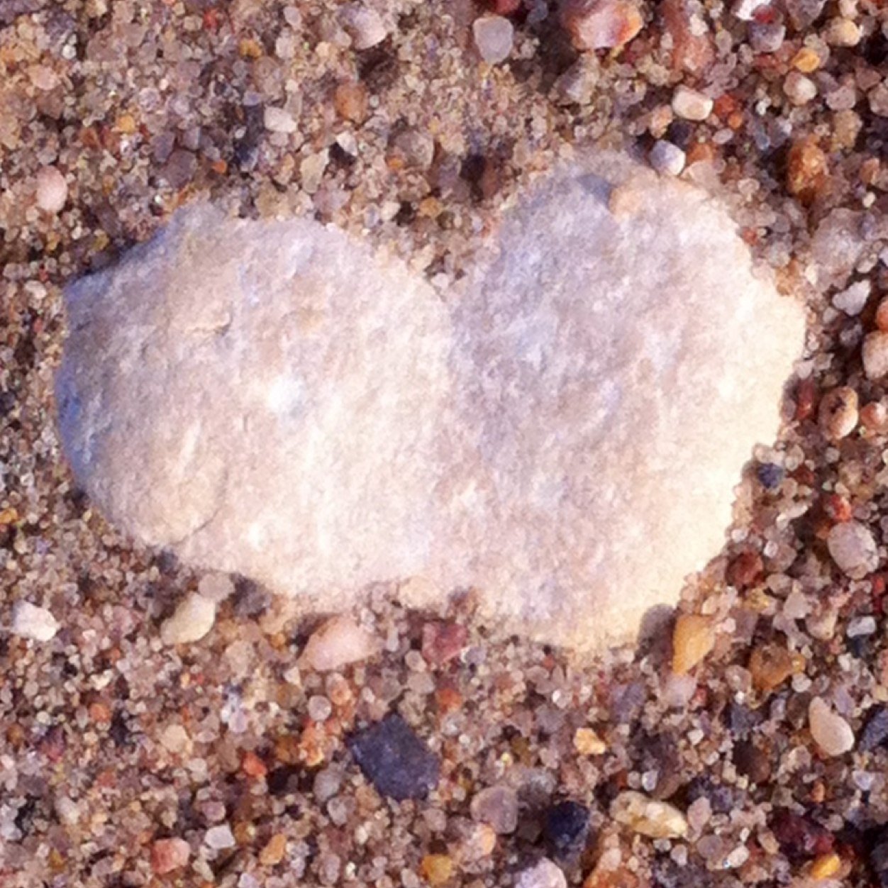 Gumshoelu's profile picture. 