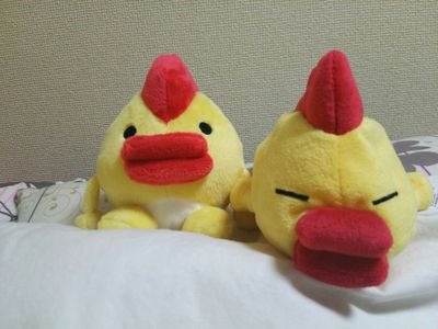 そらジローが好きです！
ロウル君はおしり派です！