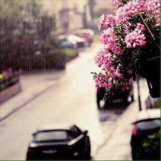 244_19RB's profile picture. Omania 
19 years old  
Insta:244_19RB