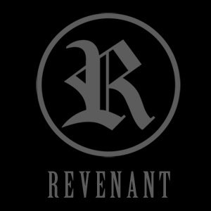 Heavy riffing, hard hitting, female fronted groove rock.