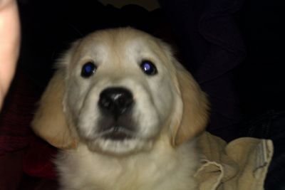 vickijones506's profile picture. 