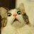 seeman234's profile image