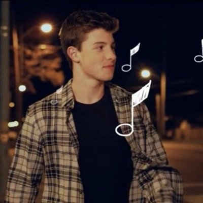 im gonna marry shawn