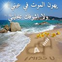 البوسعيدي (@051ddf9fa1634b4) Twitter