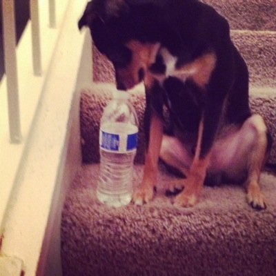 jenniferm5166's profile picture. 