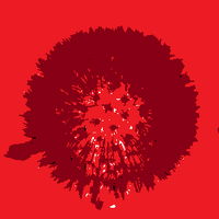 bcdaeiou (@bcdaeiou) 's Twitter Profile Photo bcdaeiou (@bcdaeiou) 's Twitter Profile Photo