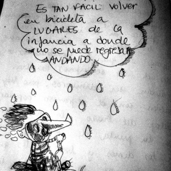 El_arbol_rojo's profile picture. 