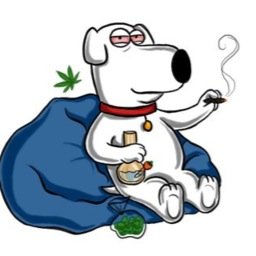 weedthoughts42_'s profile picture. Got a funny high thought? Email weedthoughts@aol.com