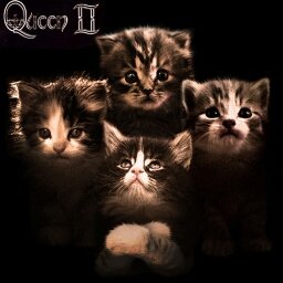 johnbellot's profile picture. 