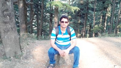 Software Developer