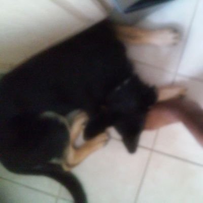 My name is Kameryn I love to play sports I consider myself a naturally born athletics person, but on my off time I make music.