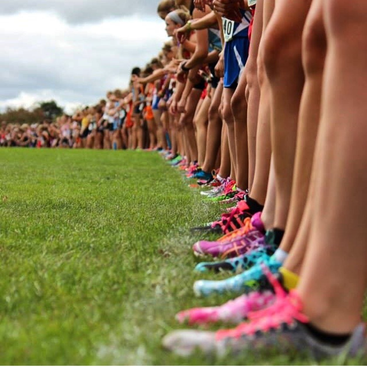 junior. varsity xc and track runner (5K PR: 25:16, 5mi PR: 49:43)
