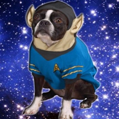 hesdeadjim17's profile picture. I love Star Trek     Thats it
