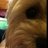 DJACQUEMIN's profile image