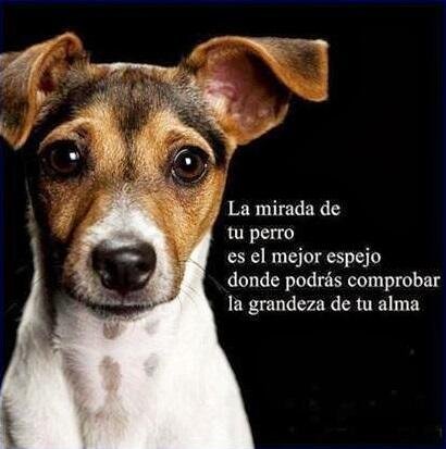 Tolerante,emprendedora, camaleónica.Yo no soy lo que me sucedió;yo soy lo que elegí ser!!Magallanera A Muerte!!!Amo a mis JackRussell!!Wof,Wof!