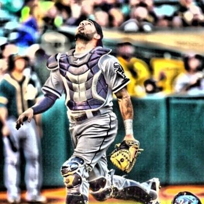 Former MLB Catcher 12 years + of profesional baseball. 2008 National Champion (American Heritage) .Head Baseball Coach at True North Classical Academy