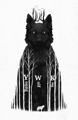 YWolfking's profile picture. Youtuber 
UK
Let's play gamer

http://t.co/kBhFYedqyc