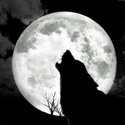 SpiritTualatin's profile picture. The aim of our club is to promote a larger overall sense of enthusiasm and pride for Tualatin High School