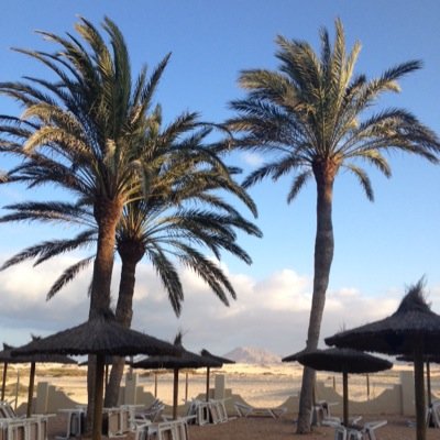 Estherterhaar's profile picture. Gek op man, kids, hond, reizen, fotograferen, gadgets, paardrijden, zon, sneeuw, iPhone, Mini CooperS